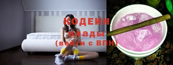 mdpv Вяземский