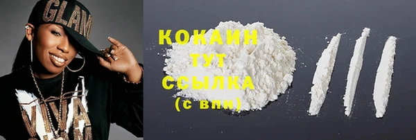 mdpv Вяземский