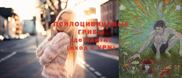 mdpv Вяземский