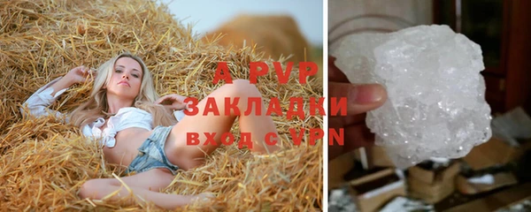 ГАЛЛЮЦИНОГЕННЫЕ ГРИБЫ Вязьма